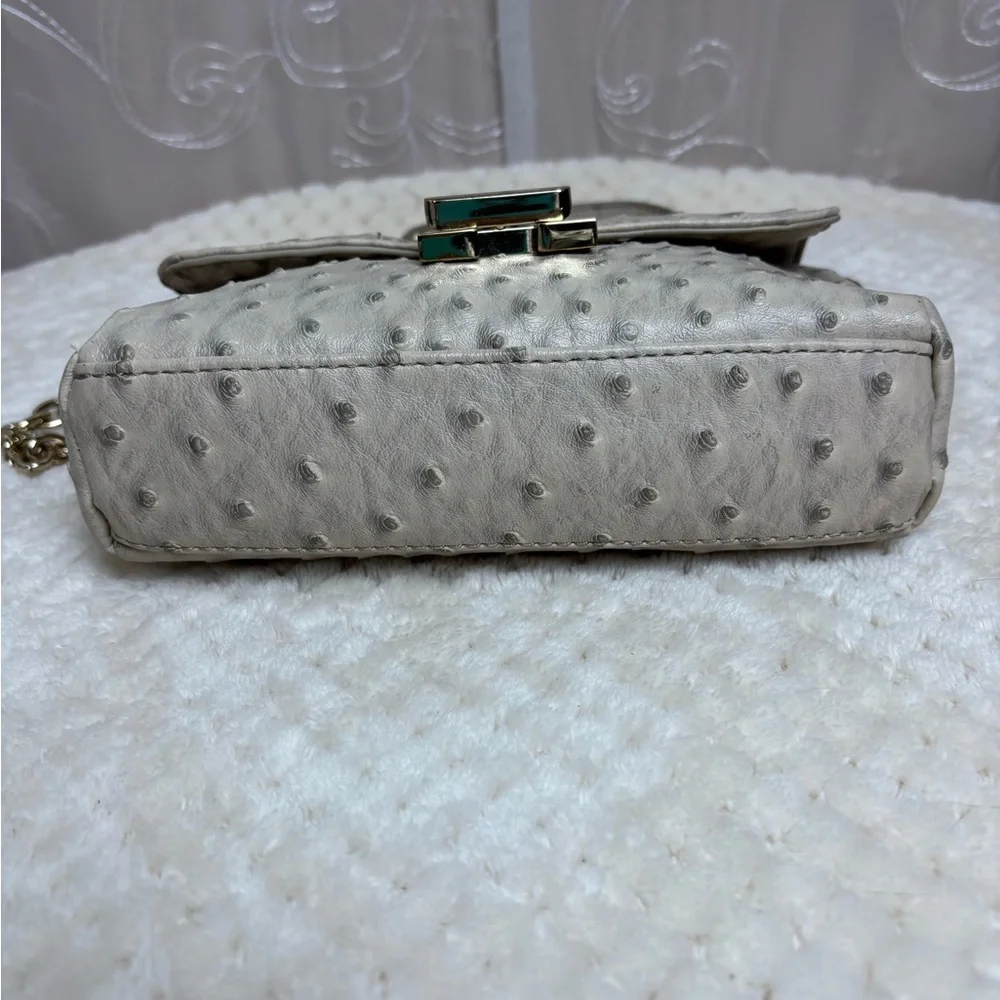 Chico’s Faux Ostrich Chain Crossbody Bag